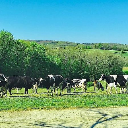 « Le Vieux Hangar » Gite A La Ferme Le Buisson-de-Cadouin Eksteriør billede